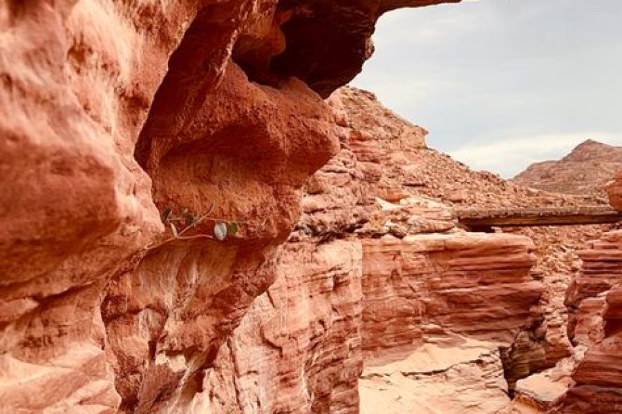 Color Canyon, White Canyon, Ain Al Khadra, and Al Mashram from Dahab