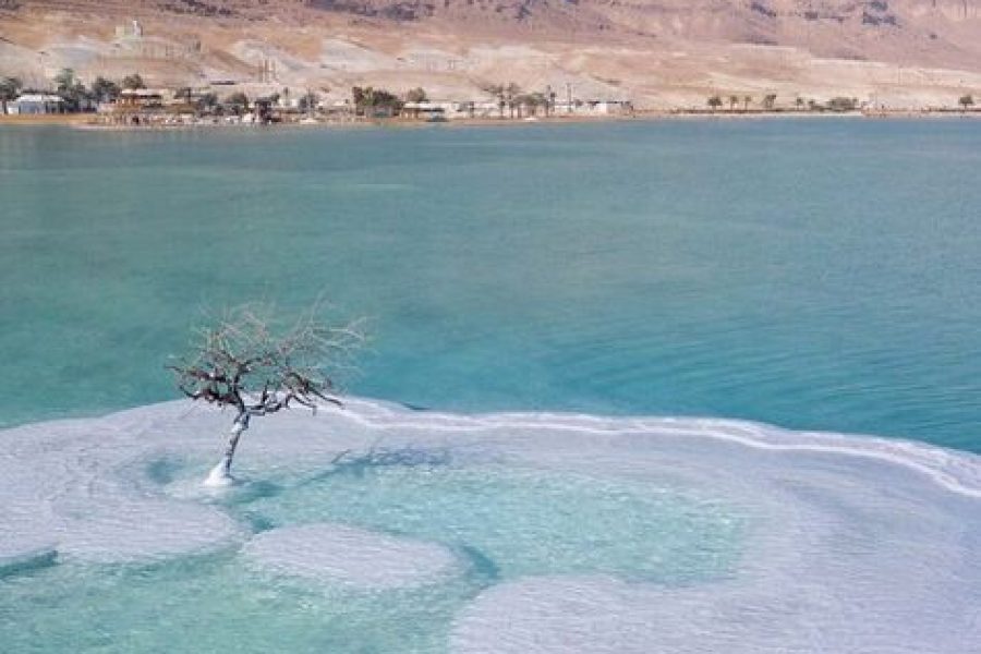 Dead Sea, Mt Nebo, Madaba, & Baptism from Amman